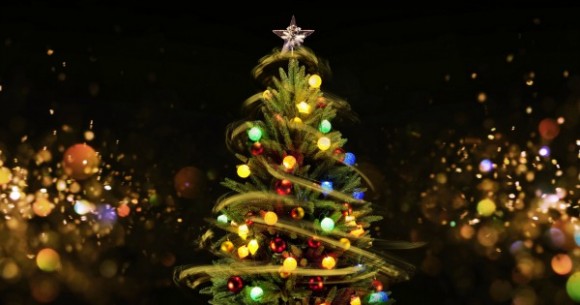 Kimba Christmas Tree