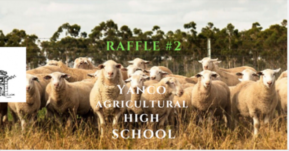 Yanco Agricultural High School Raffle #2
