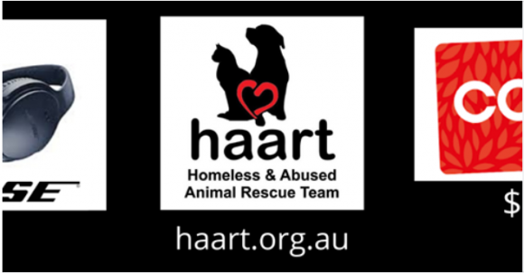 Homeless and Abused Animal Rescue Team