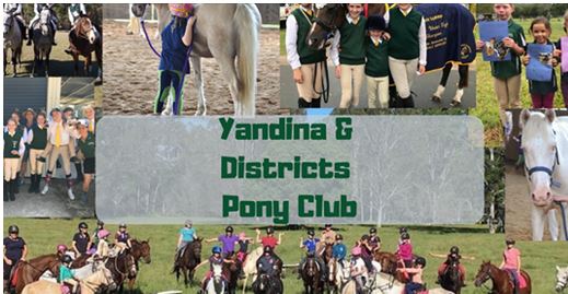 Yandina & Districts Pony Club