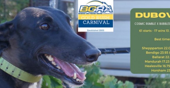 Bendigo Greyhound Racing Association Inc