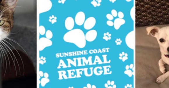 Sunshine Coast Animal Refuge