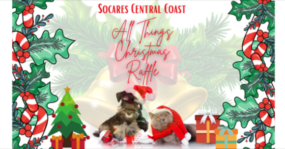 Socares - Society Of Companion Animal Rescuers