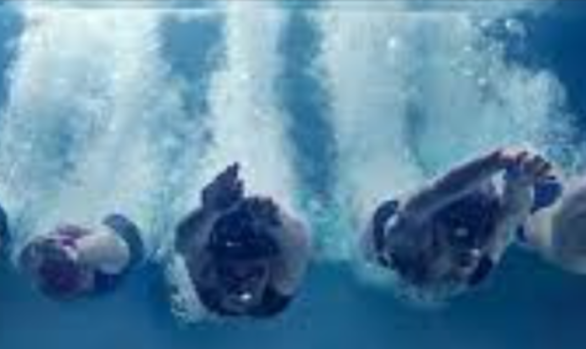 Mount Annan Swimming Club