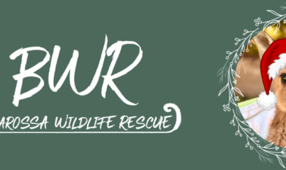 Barossa Wildlife Rescue Incorporated