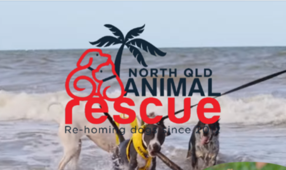 North Queensland Animal Rescue
